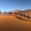 Ruta 4 días desde Marrakech al desierto de Merzouga