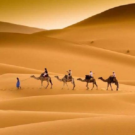 Ruta 15 días desde Nador – Explorar Marruecos al Completo